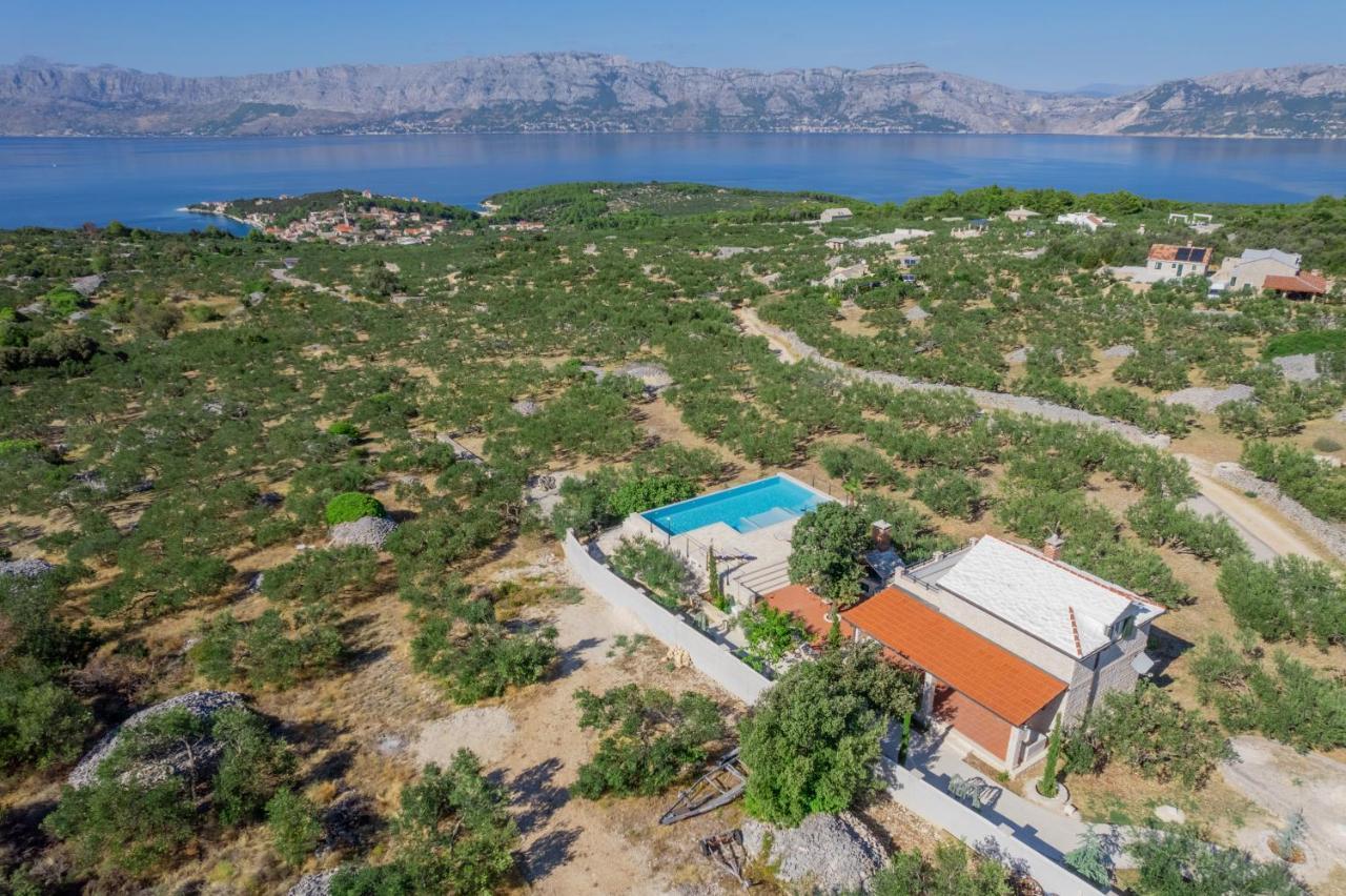Olive Park House Brac Villa Повля Екстериор снимка